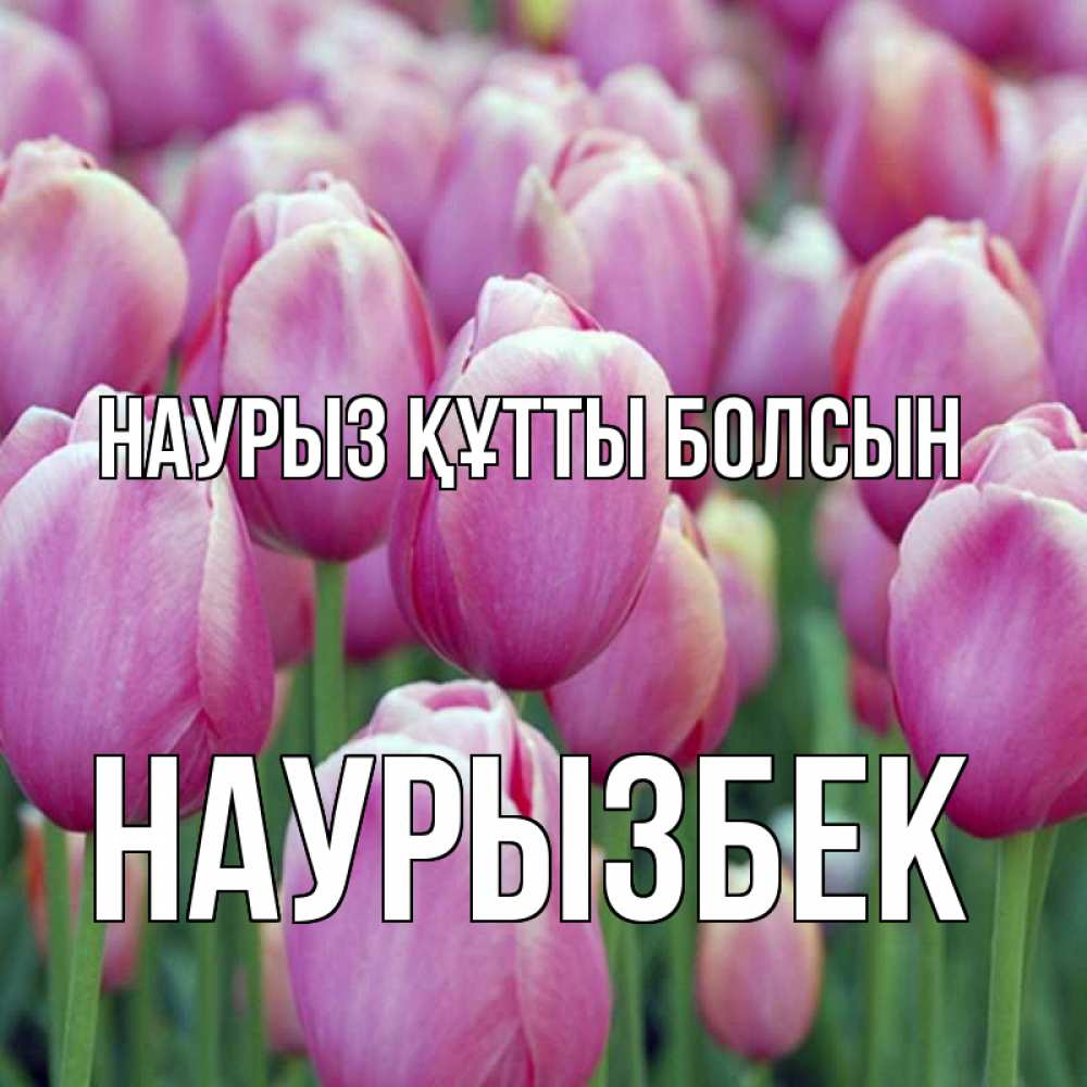 Күн сайын ашық хат с именем, Наурызбек Наурыз құтты болсын на наурыз  день 3 Онлайн тегін жүктеп алу тілектері бар керемет карта 