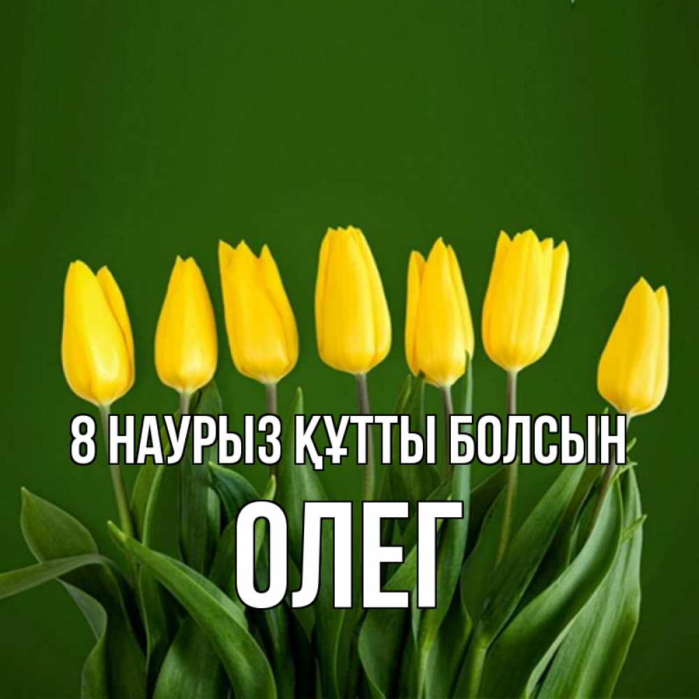 Күн сайын ашық хат с именем, Олег 8 наурыз құтты болсын желтого цвета 3 Онлайн тегін жүктеп алу тілектері бар керемет карта 