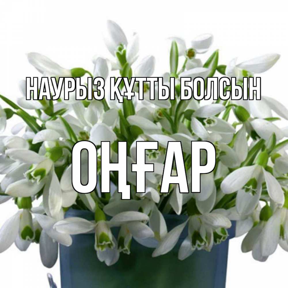 Күн сайын ашық хат с именем, ОҢҒАР Наурыз құтты болсын цветы к наурызу Онлайн тегін жүктеп алу тілектері бар керемет карта 