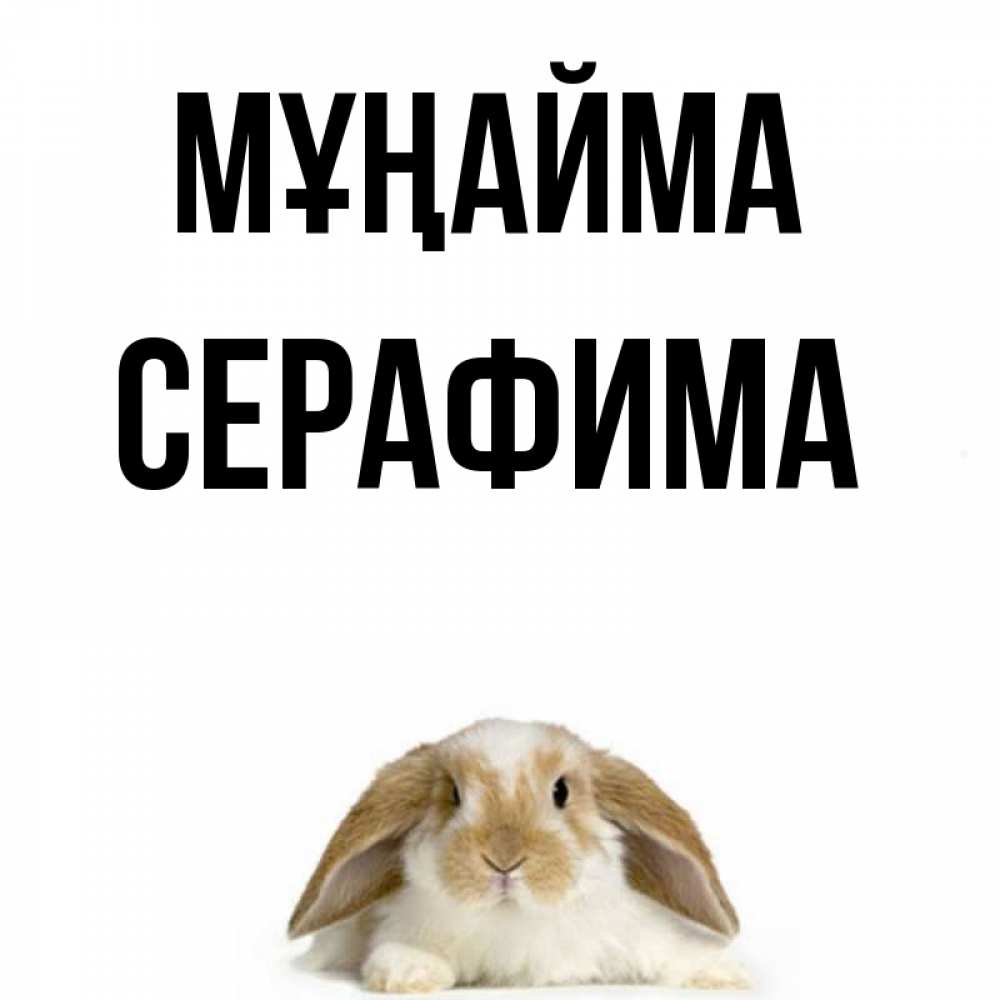 Күн сайын ашық хат с именем, Серафима Мұңайма коричнево белый заяц с большими ушками Онлайн тегін жүктеп алу тілектері бар керемет карта 