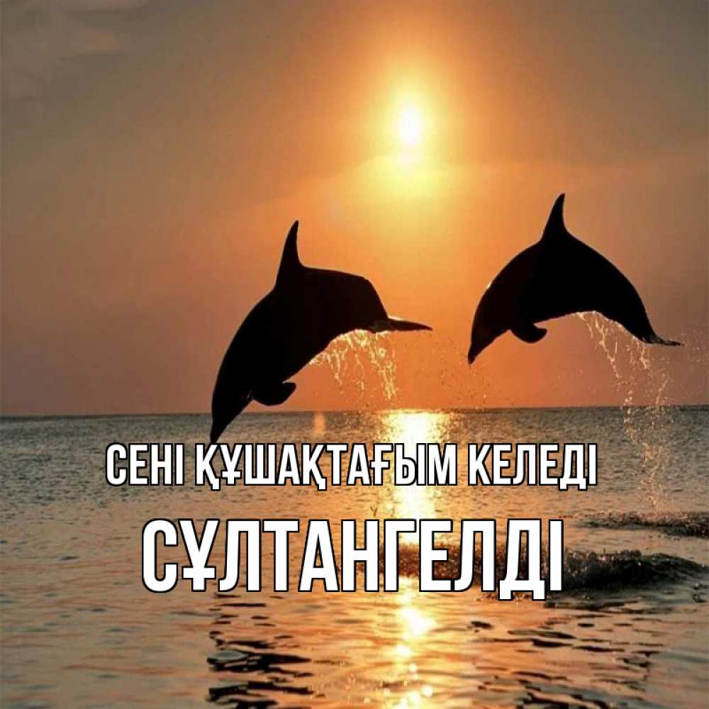 Күн сайын ашық хат с именем, СҰЛТАНГЕЛДІ сені құшақтағым келеді рыбы на закате Онлайн тегін жүктеп алу тілектері бар керемет карта 
