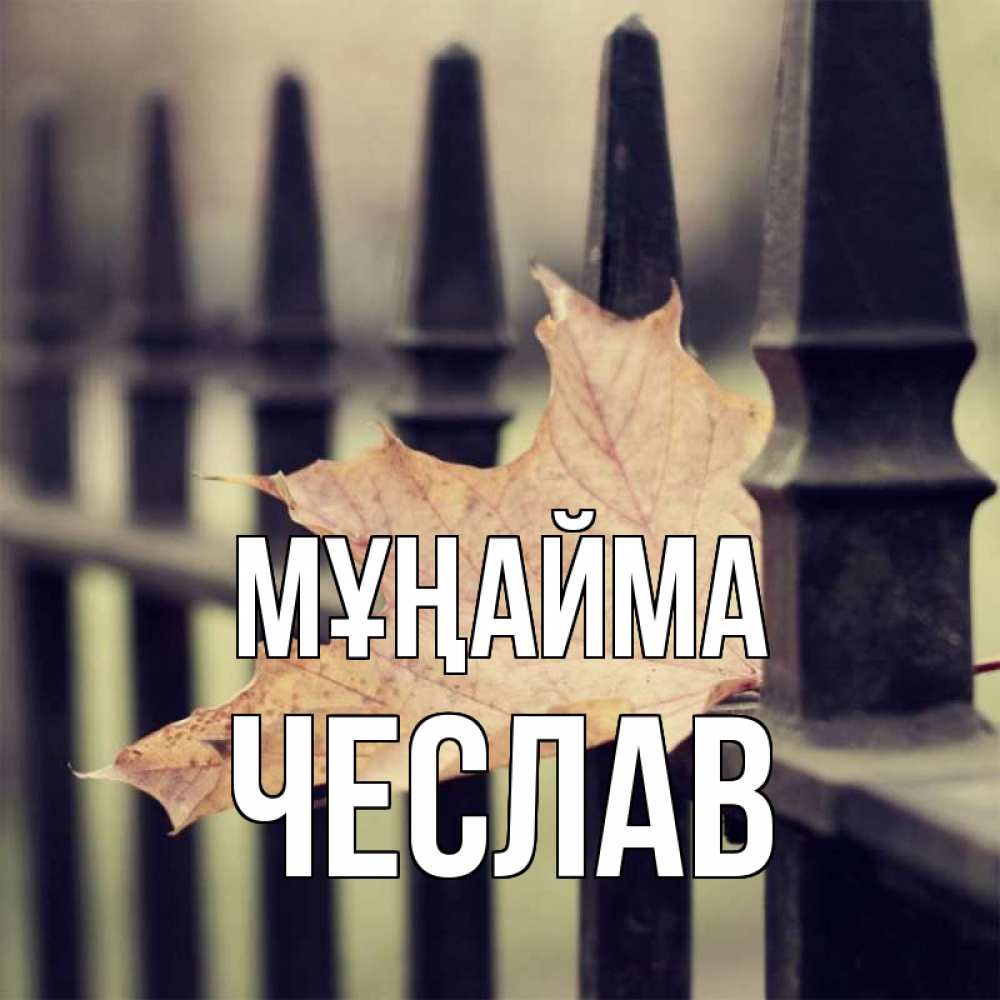 Күн сайын ашық хат с именем, Чеслав Мұңайма лист клена Онлайн тегін жүктеп алу тілектері бар керемет карта 