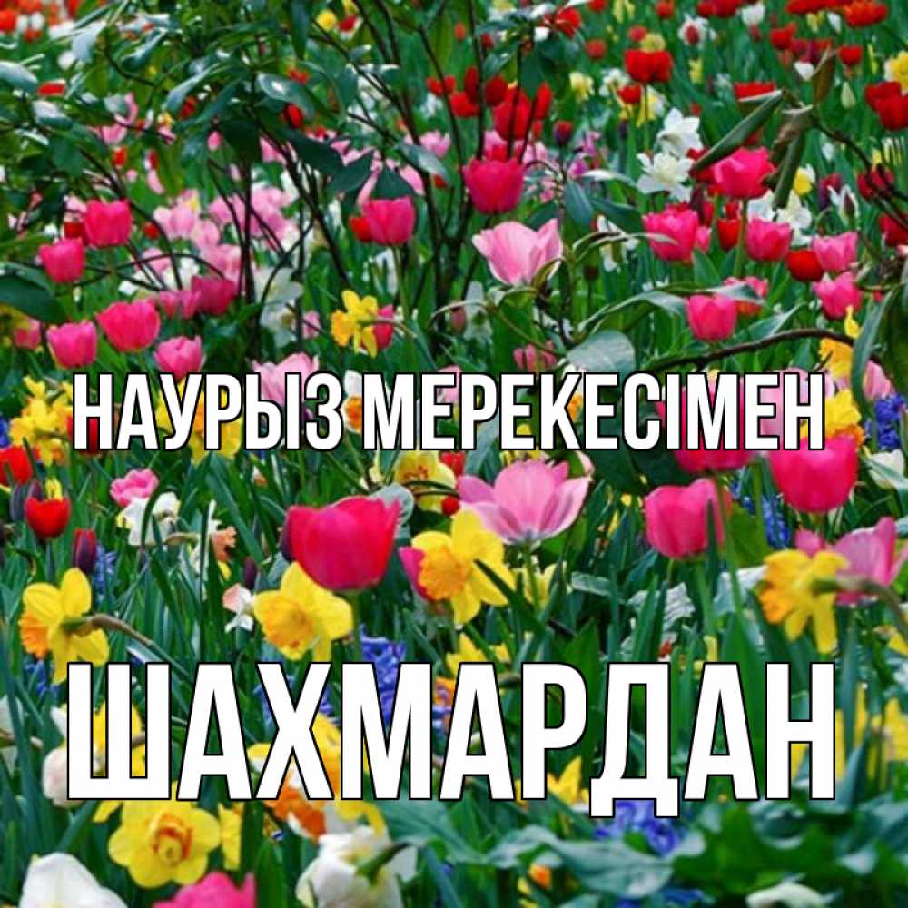 Күн сайын ашық хат с именем, ШАХМАРДАН Наурыз мерекесімен с наурызом праздником весны поздравления для женщины Онлайн тегін жүктеп алу тілектері бар керемет карта 