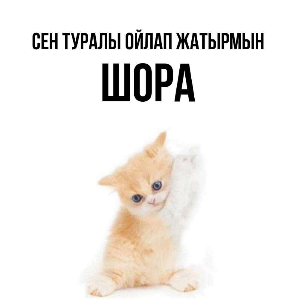 Күн сайын ашық хат с именем, ШОРА Сен туралы ойлап жатырмын зверушки и милота Онлайн тегін жүктеп алу тілектері бар керемет карта 
