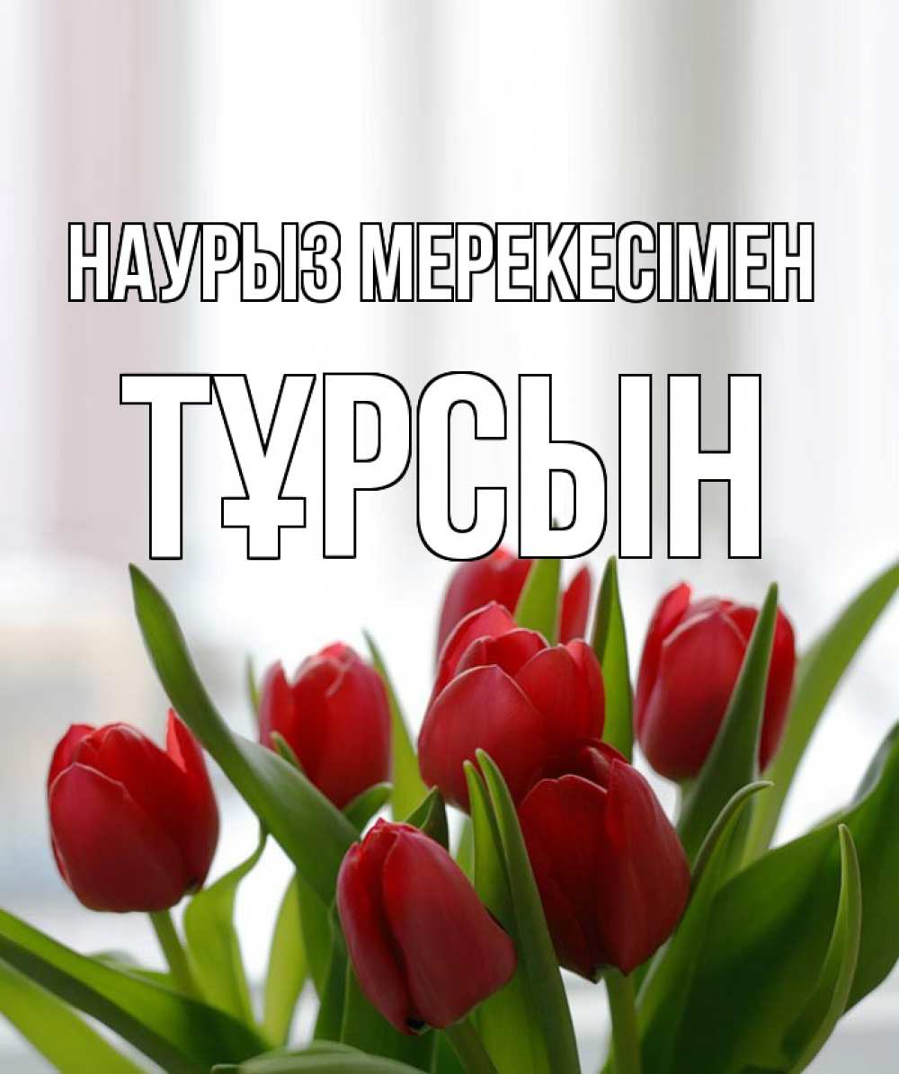 Күн сайын ашық хат с именем, ТҰРСЫН Наурыз мерекесімен полевые цветы Онлайн тегін жүктеп алу тілектері бар керемет карта 