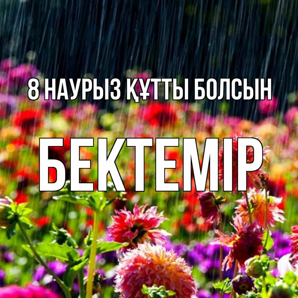 Күн сайын ашық хат с именем, Бектемір 8 наурыз құтты болсын цветы под дождиком к международному женскому дню Онлайн тегін жүктеп алу тілектері бар керемет карта 
