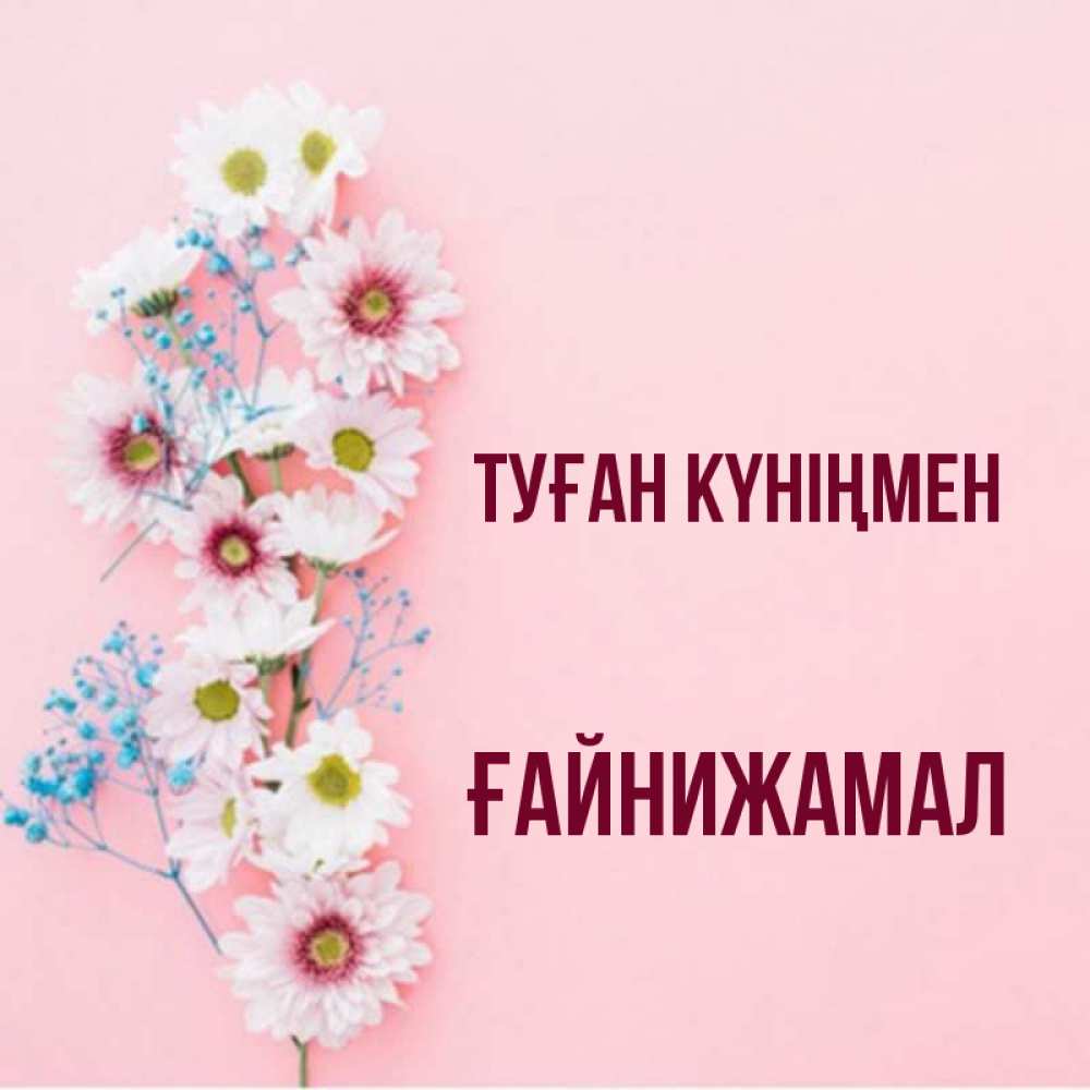 Күн сайын ашық хат с именем, ҒАЙНИЖАМАЛ Туған күніңмен Родная моя с днем рождения тебя картинка с цветами белыми и голубыми Онлайн тегін жүктеп алу тілектері бар керемет карта 