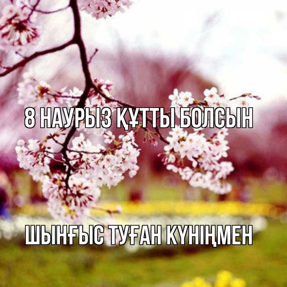 Картинка 8 наурыз құтты болсын, ШЫНҒЫС! ТУҒАН КҮНІҢМЕН!