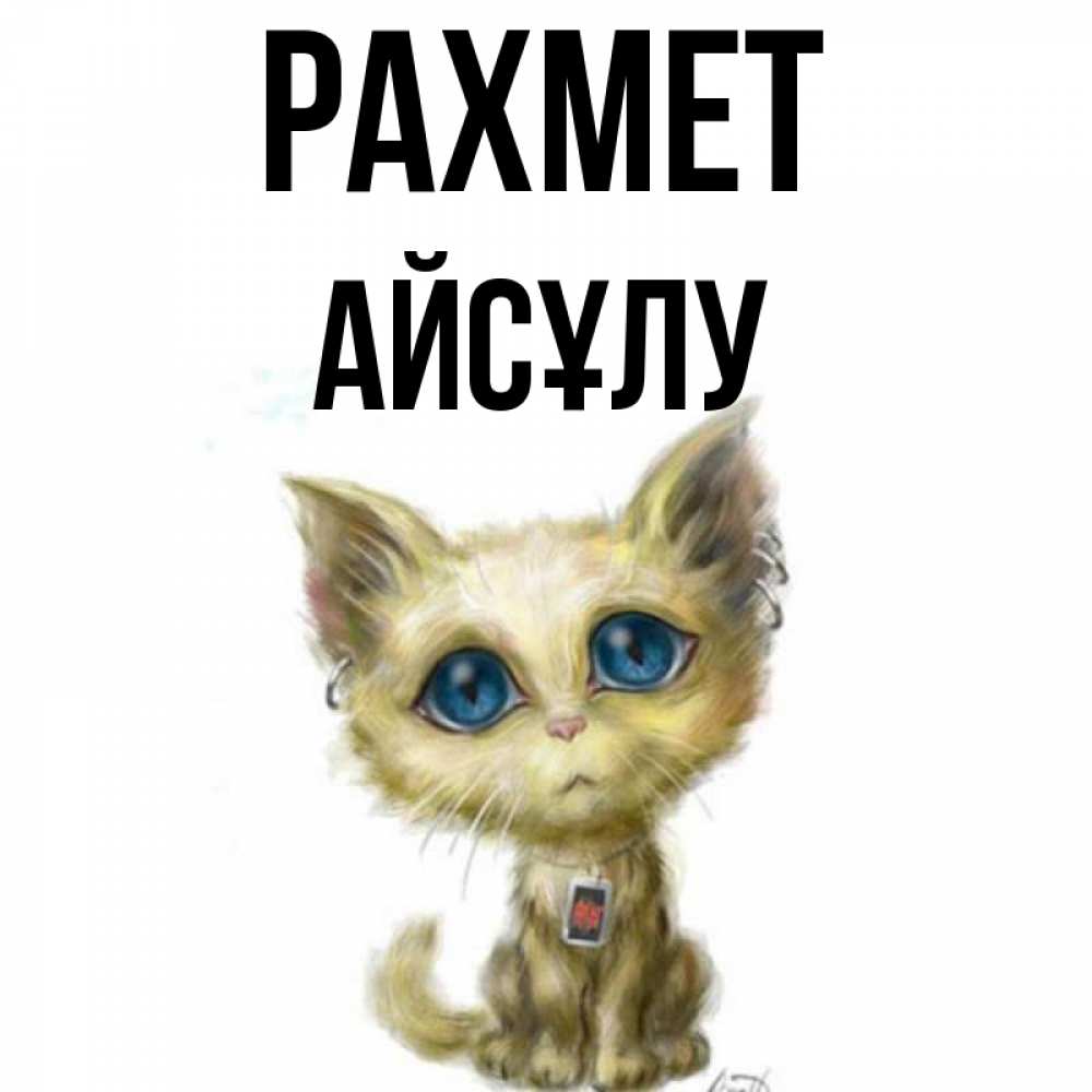 Күн сайын ашық хат с именем, АЙСҰЛУ рахмет рисованный кот благодарит вас Онлайн тегін жүктеп алу тілектері бар керемет карта 