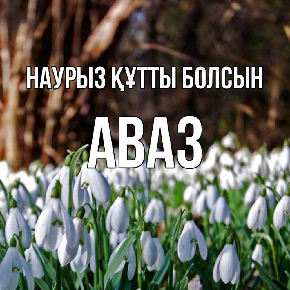 Күн сайын ашық хат с именем, Аваз Наурыз құтты болсын с подснежниками 1 Онлайн тегін жүктеп алу тілектері бар керемет карта 