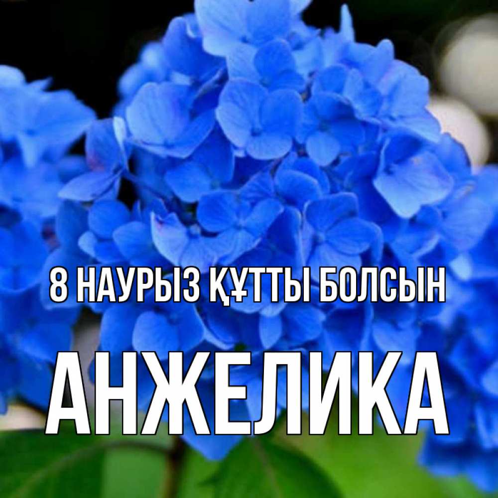 Күн сайын ашық хат с именем, Анжелика 8 наурыз құтты болсын синие цветы Онлайн тегін жүктеп алу тілектері бар керемет карта 