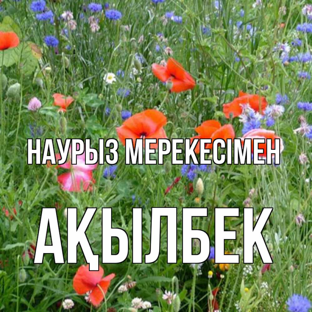 Күн сайын ашық хат с именем, Ақылбек Наурыз мерекесімен праздник весны наурыз супер открытка Онлайн тегін жүктеп алу тілектері бар керемет карта 