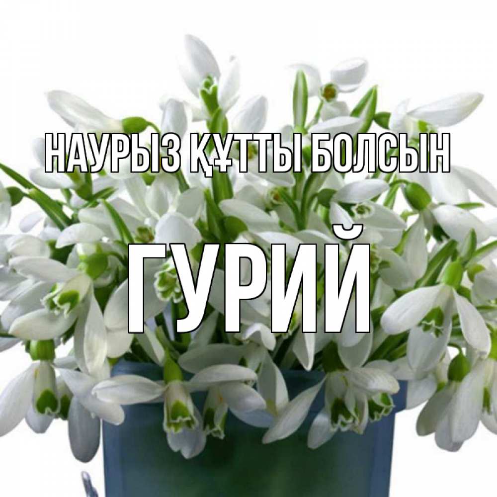 Күн сайын ашық хат с именем, Гурий Наурыз құтты болсын цветы к наурызу Онлайн тегін жүктеп алу тілектері бар керемет карта 