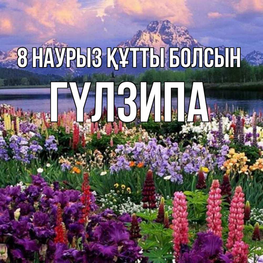Күн сайын ашық хат с именем, ГҮЛЗИПА 8 наурыз құтты болсын международный женский день Онлайн тегін жүктеп алу тілектері бар керемет карта 
