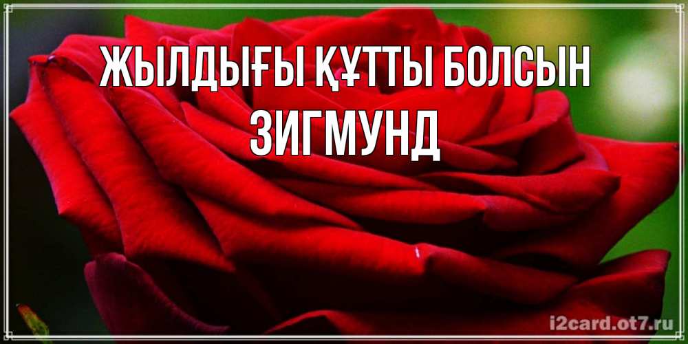 Күн сайын ашық хат с именем, Зигмунд Жылдығы құтты болсын розочка очень красивая Онлайн тегін жүктеп алу тілектері бар керемет карта 