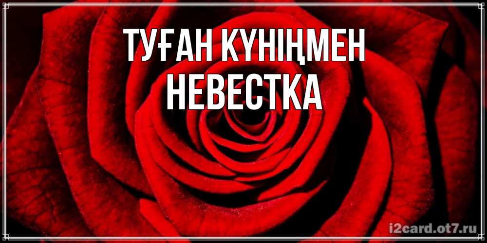 Күн сайын ашық хат с именем, Невестка Туған күніңмен алая роза Онлайн тегін жүктеп алу тілектері бар керемет карта 