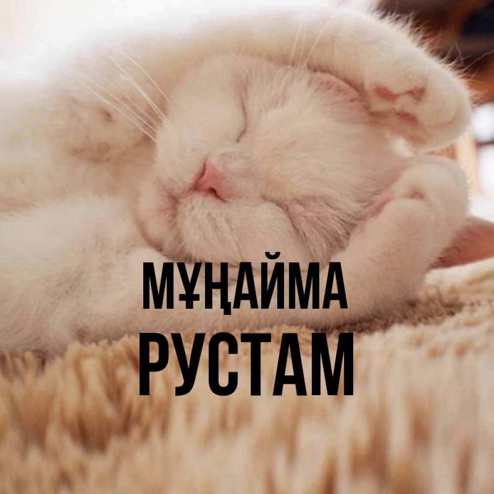 Күн сайын ашық хат с именем, Рустам Мұңайма Котенок спит Онлайн тегін жүктеп алу тілектері бар керемет карта 