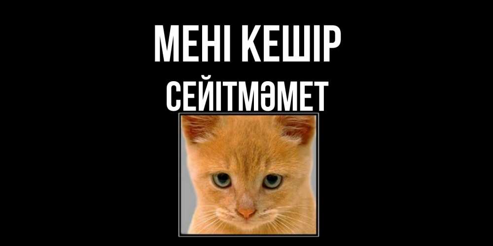 Күн сайын ашық хат с именем, СЕЙІТМӘМЕТ Мені кешір рыжий грустный кот просит прощения Онлайн тегін жүктеп алу тілектері бар керемет карта 