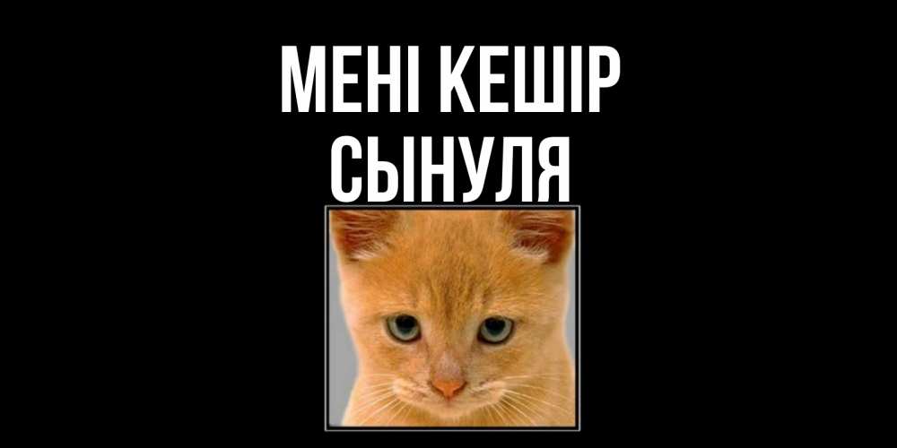 Күн сайын ашық хат с именем, Сынуля Мені кешір рыжий грустный кот просит прощения Онлайн тегін жүктеп алу тілектері бар керемет карта 