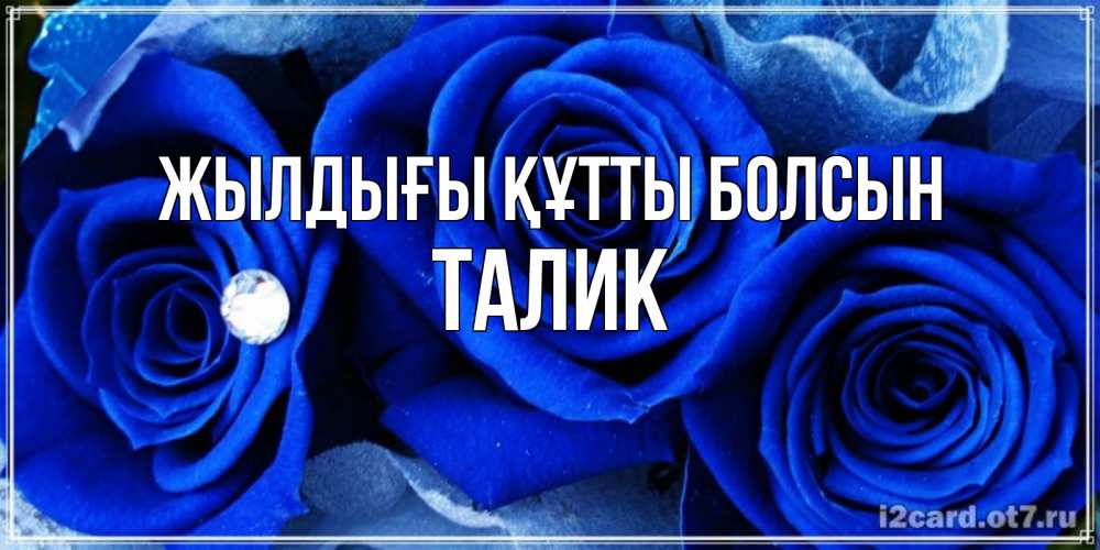 Күн сайын ашық хат с именем, Талик Жылдығы құтты болсын синие розы в росе Онлайн тегін жүктеп алу тілектері бар керемет карта 