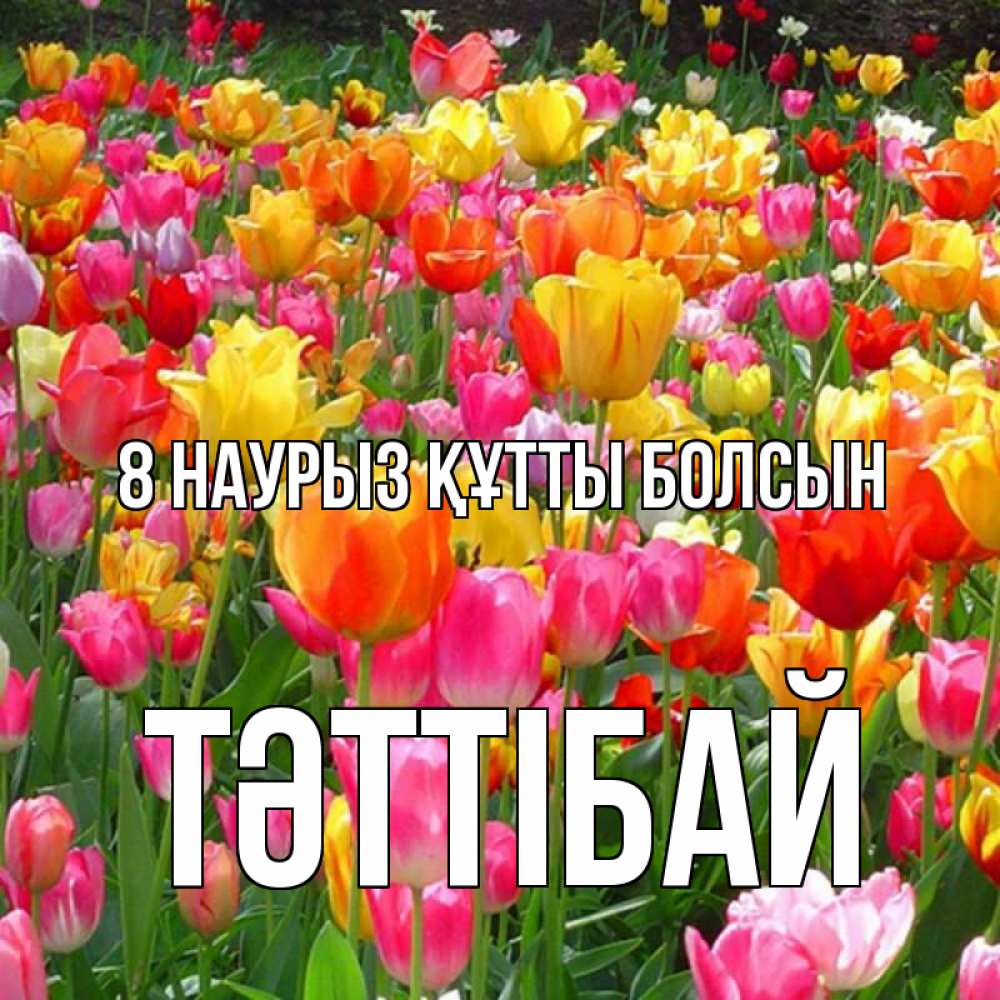 Күн сайын ашық хат с именем, ТӘТТІБАЙ 8 наурыз құтты болсын на международный женский день Онлайн тегін жүктеп алу тілектері бар керемет карта 