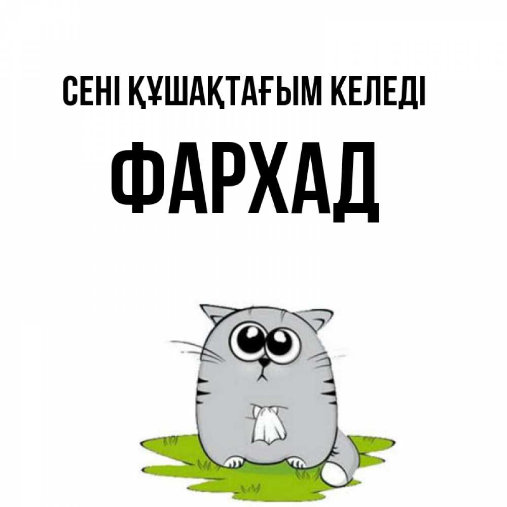 Күн сайын ашық хат с именем, Фархад сені құшақтағым келеді котик теребит платочек сидя на травке Онлайн тегін жүктеп алу тілектері бар керемет карта 
