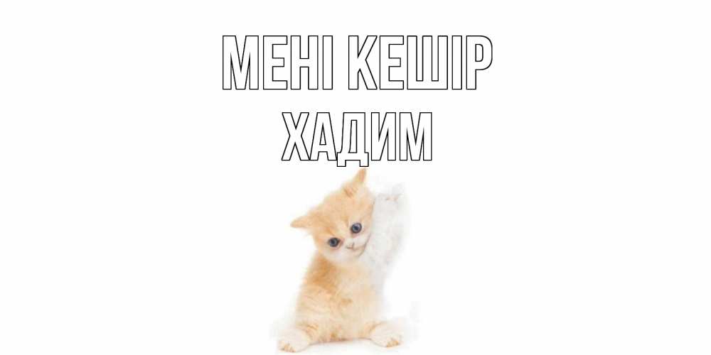 Күн сайын ашық хат с именем, ХАДИМ Мені кешір кот Онлайн тегін жүктеп алу тілектері бар керемет карта 