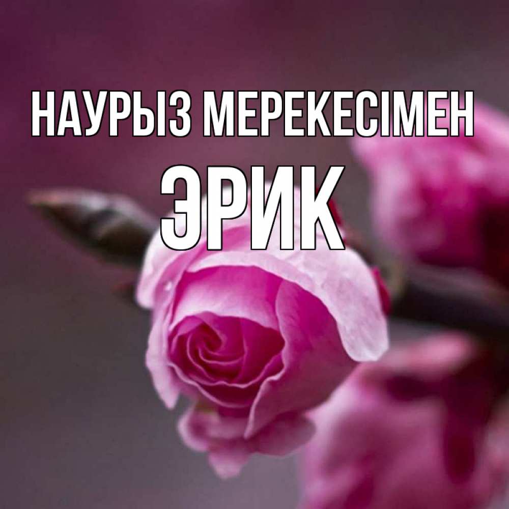 Күн сайын ашық хат с именем, Эрик Наурыз мерекесімен весна Онлайн тегін жүктеп алу тілектері бар керемет карта 