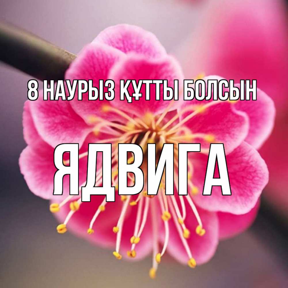 Күн сайын ашық хат с именем, Ядвига 8 наурыз құтты болсын цветы Онлайн тегін жүктеп алу тілектері бар керемет карта 