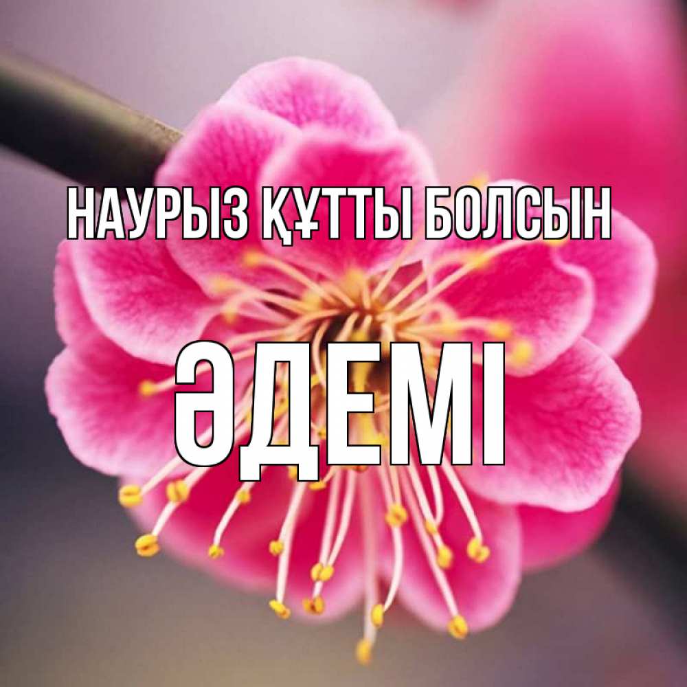 Күн сайын ашық хат с именем, ӘДЕМІ Наурыз құтты болсын цветы Онлайн тегін жүктеп алу тілектері бар керемет карта 