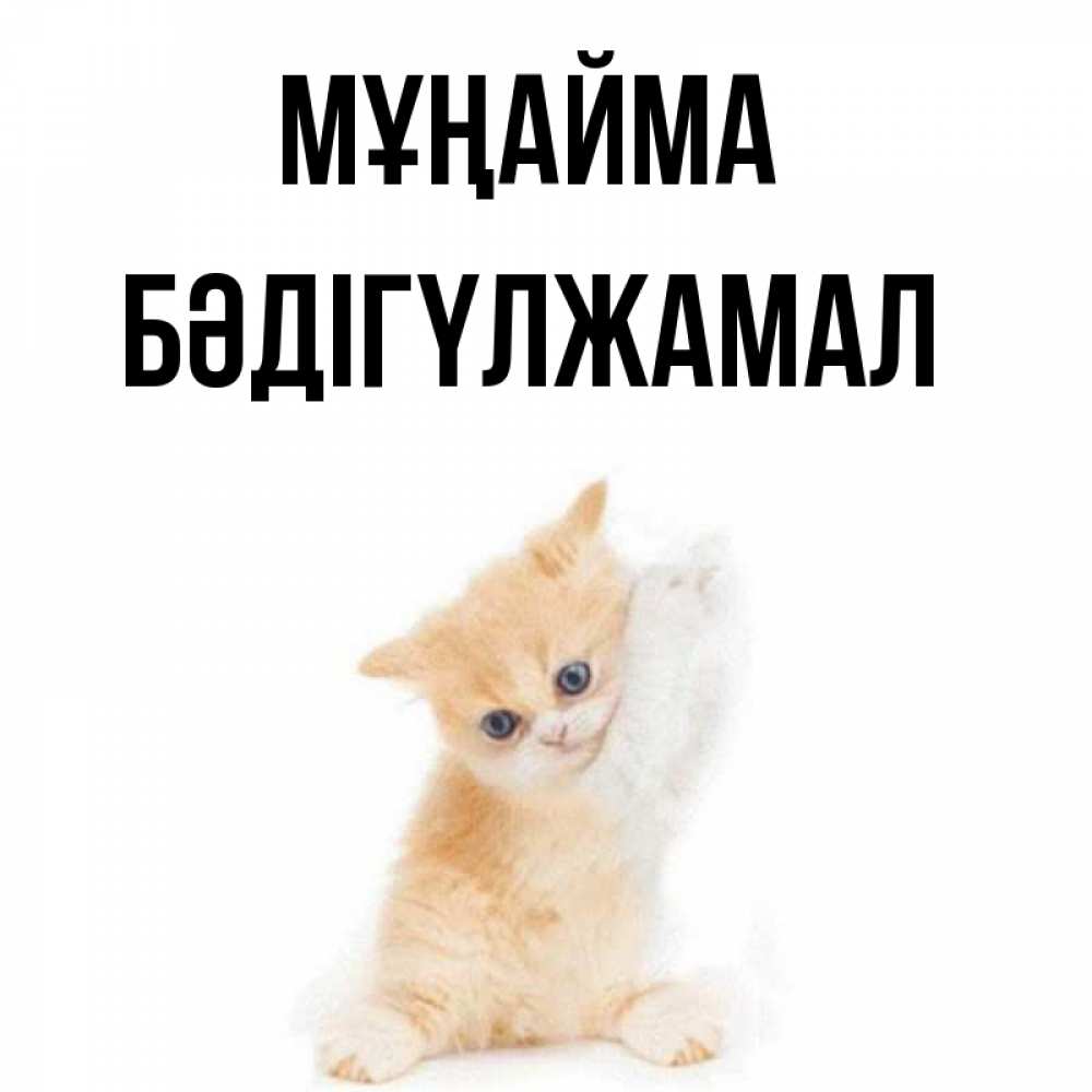Күн сайын ашық хат с именем, БӘДІГҮЛЖАМАЛ Мұңайма просящий кот Онлайн тегін жүктеп алу тілектері бар керемет карта 