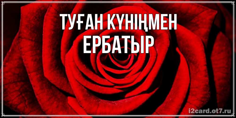 Күн сайын ашық хат с именем, Ербатыр Туған күніңмен алая роза Онлайн тегін жүктеп алу тілектері бар керемет карта 