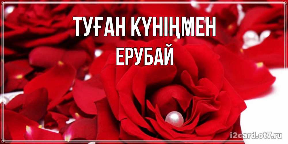 Күн сайын ашық хат с именем, Ерубай Туған күніңмен роза с жемчужиной на открытке для любимых Онлайн тегін жүктеп алу тілектері бар керемет карта 