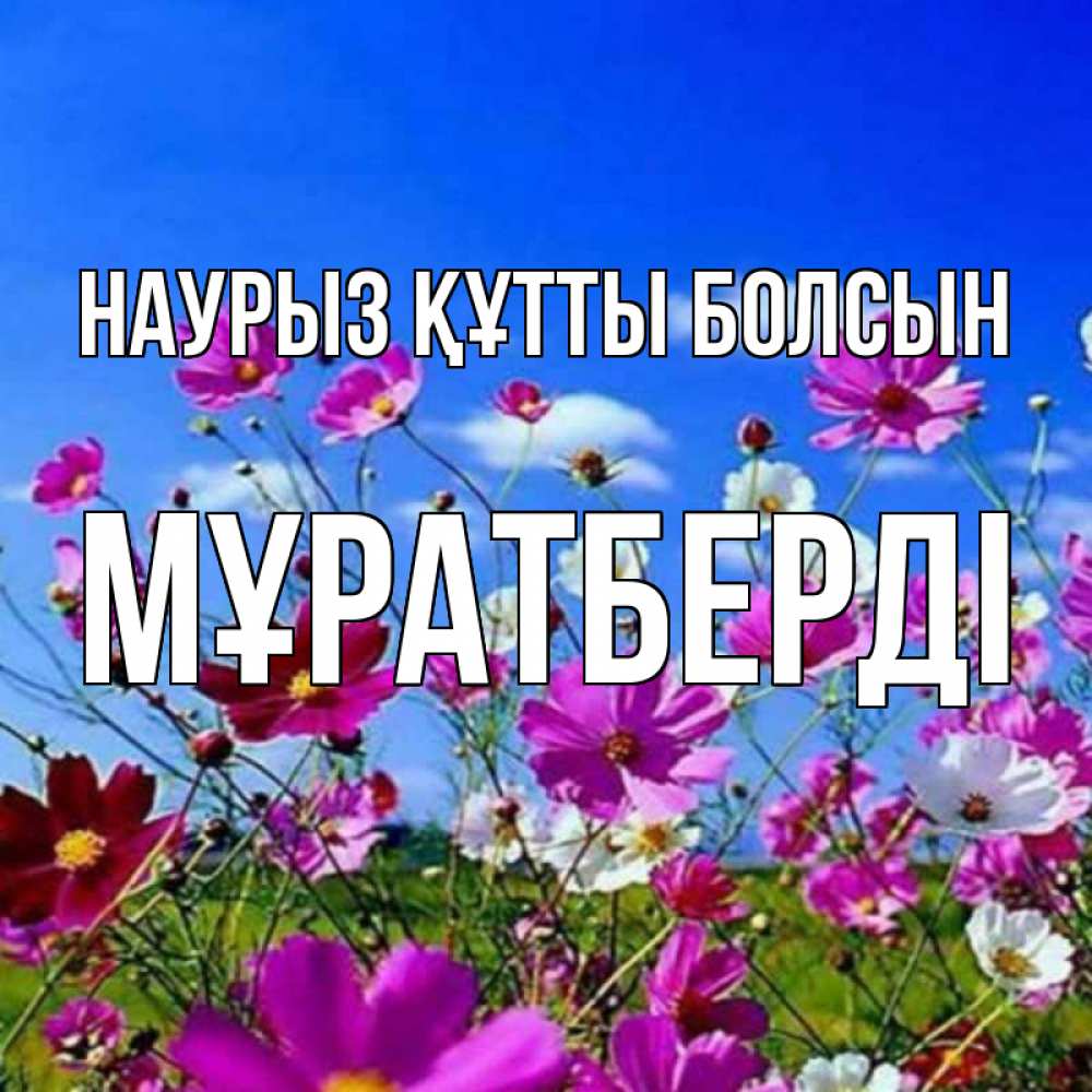 Күн сайын ашық хат с именем, Мұратберді Наурыз құтты болсын цветы Онлайн тегін жүктеп алу тілектері бар керемет карта 