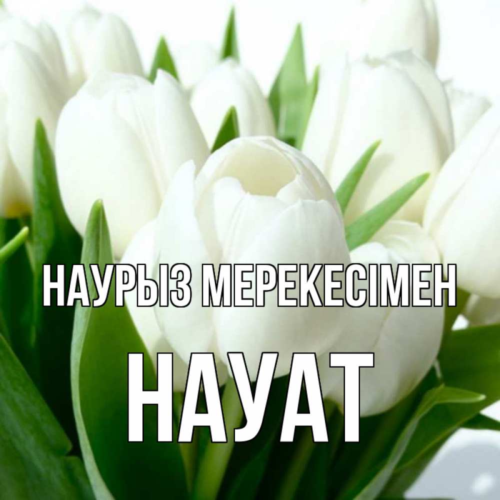 Күн сайын ашық хат с именем, НАУАТ Наурыз мерекесімен цветы Онлайн тегін жүктеп алу тілектері бар керемет карта 