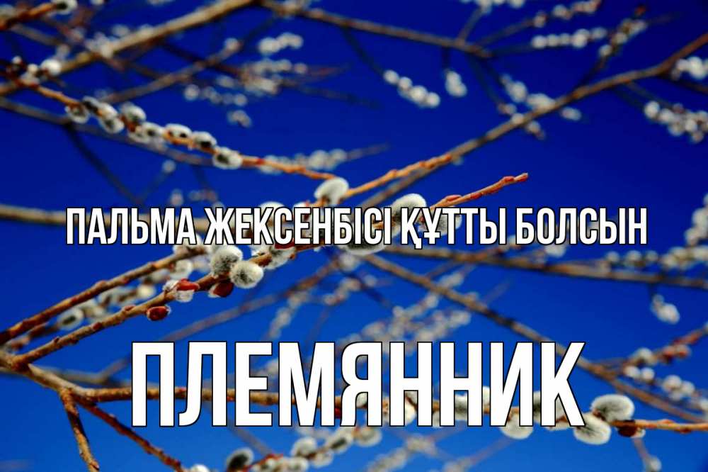 Күн сайын ашық хат с именем, Племянник Пальма жексенбісі құтты болсын верба Онлайн тегін жүктеп алу тілектері бар керемет карта 