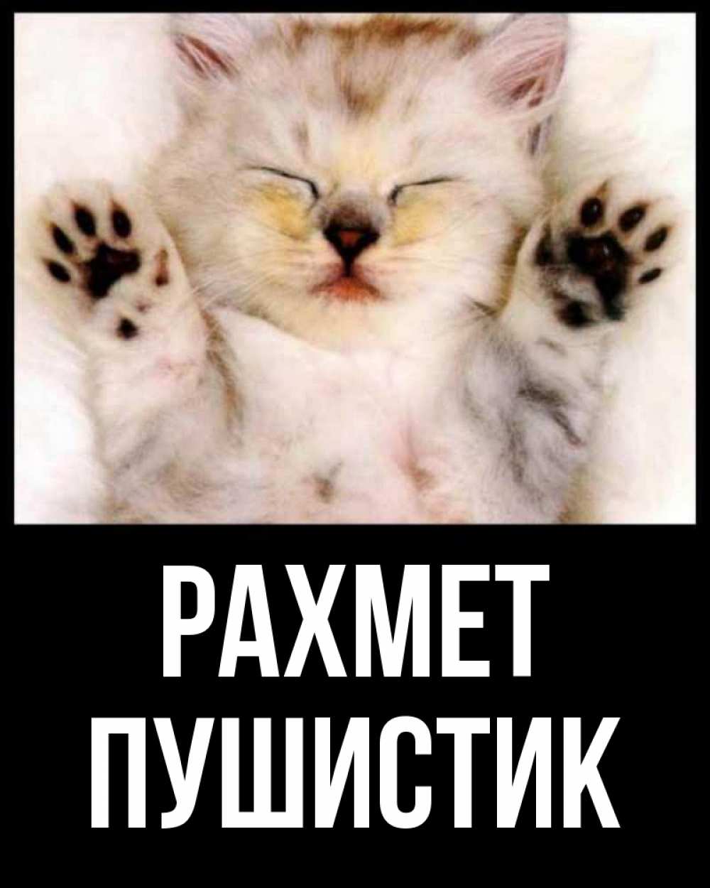 Күн сайын ашық хат с именем, Пушистик рахмет маленький котенок Онлайн тегін жүктеп алу тілектері бар керемет карта 