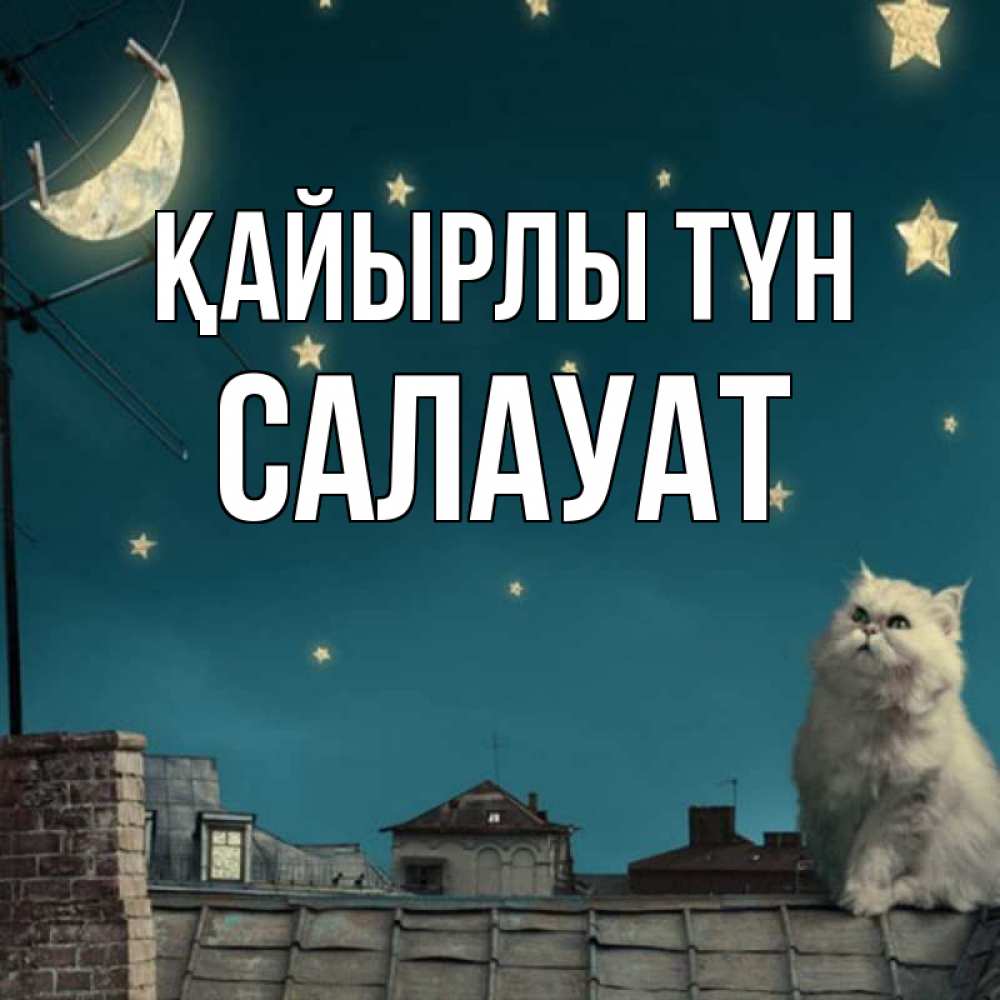 Күн сайын ашық хат с именем, САЛАУАТ Қайырлы түн белый кот сидит на крыше Онлайн тегін жүктеп алу тілектері бар керемет карта 