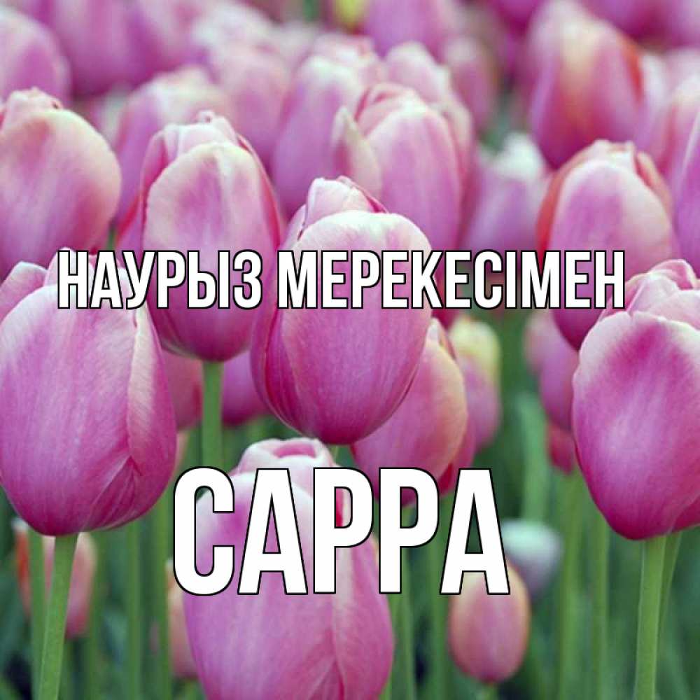 Күн сайын ашық хат с именем, Сарра Наурыз мерекесімен праздник весны наурыз 69 Онлайн тегін жүктеп алу тілектері бар керемет карта 