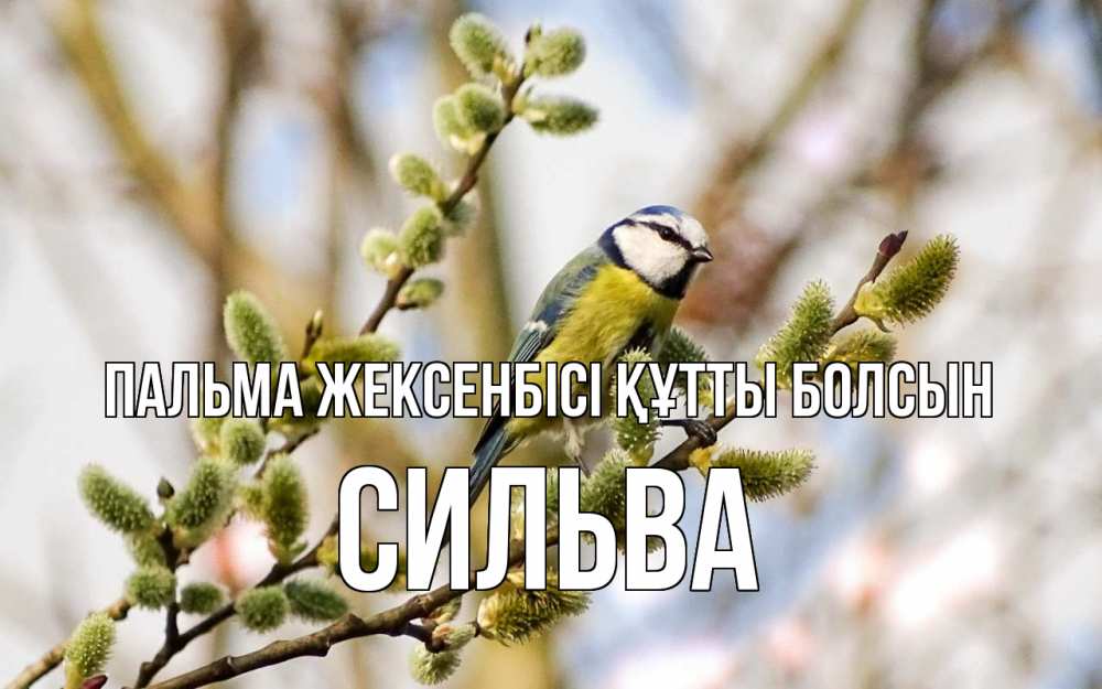 Күн сайын ашық хат с именем, Сильва Пальма жексенбісі құтты болсын верба Онлайн тегін жүктеп алу тілектері бар керемет карта 