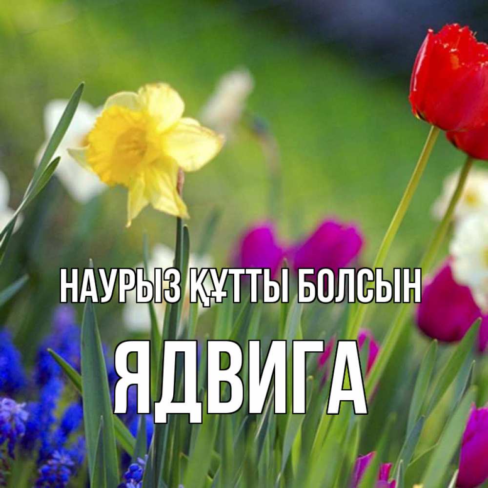 Күн сайын ашық хат с именем, Ядвига Наурыз құтты болсын наурыз  3 открытки Онлайн тегін жүктеп алу тілектері бар керемет карта 
