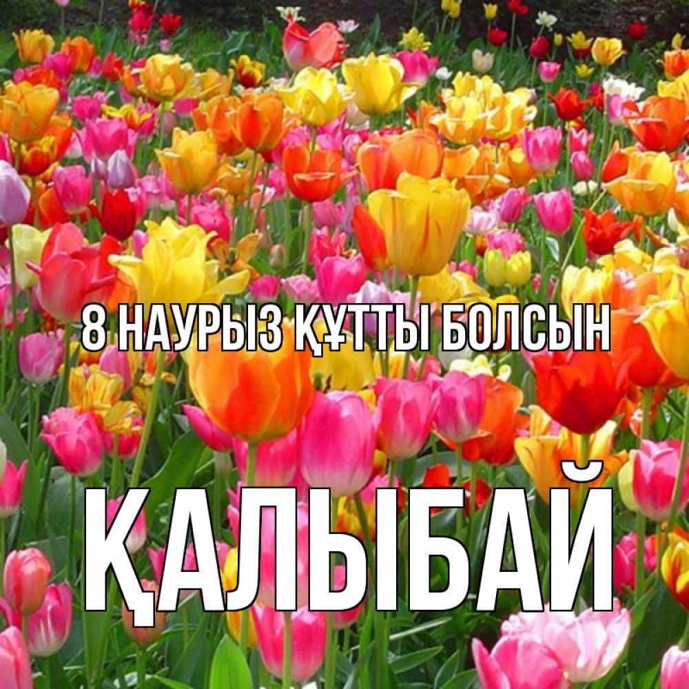 Күн сайын ашық хат с именем, Қалыбай 8 наурыз құтты болсын на международный женский день Онлайн тегін жүктеп алу тілектері бар керемет карта 