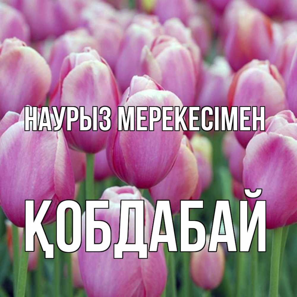 Күн сайын ашық хат с именем, Қобдабай Наурыз мерекесімен праздник весны наурыз 69 Онлайн тегін жүктеп алу тілектері бар керемет карта 