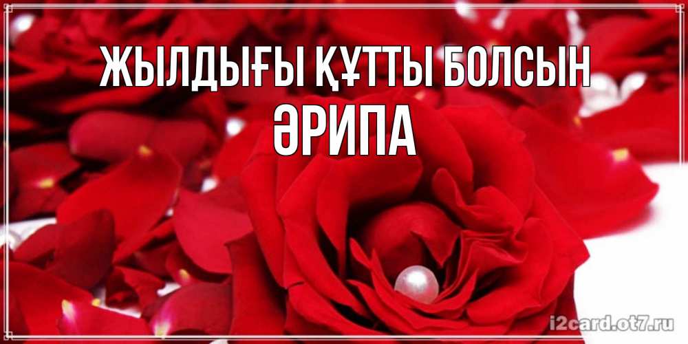 Күн сайын ашық хат с именем, ӘРИПА Жылдығы құтты болсын роза с жемчужиной на открытке для любимых Онлайн тегін жүктеп алу тілектері бар керемет карта 