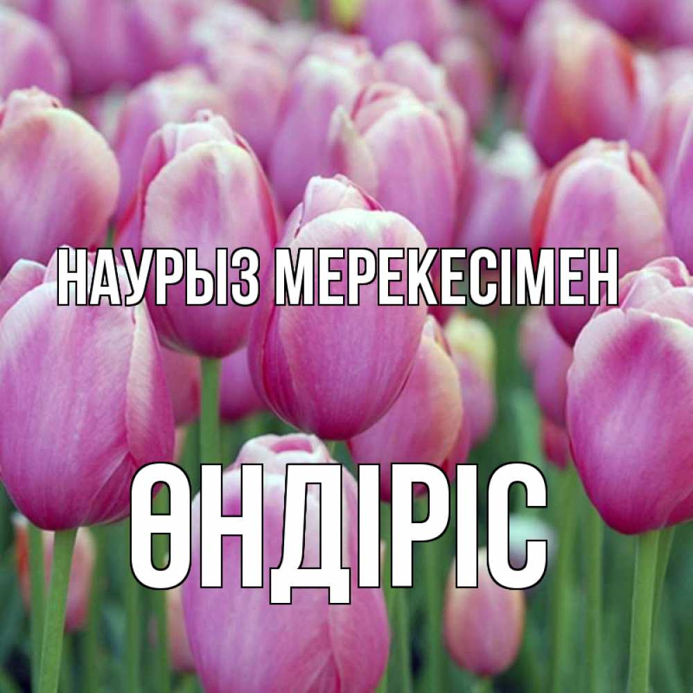 Күн сайын ашық хат с именем, ӨНДІРІС Наурыз мерекесімен праздник весны наурыз 69 Онлайн тегін жүктеп алу тілектері бар керемет карта 