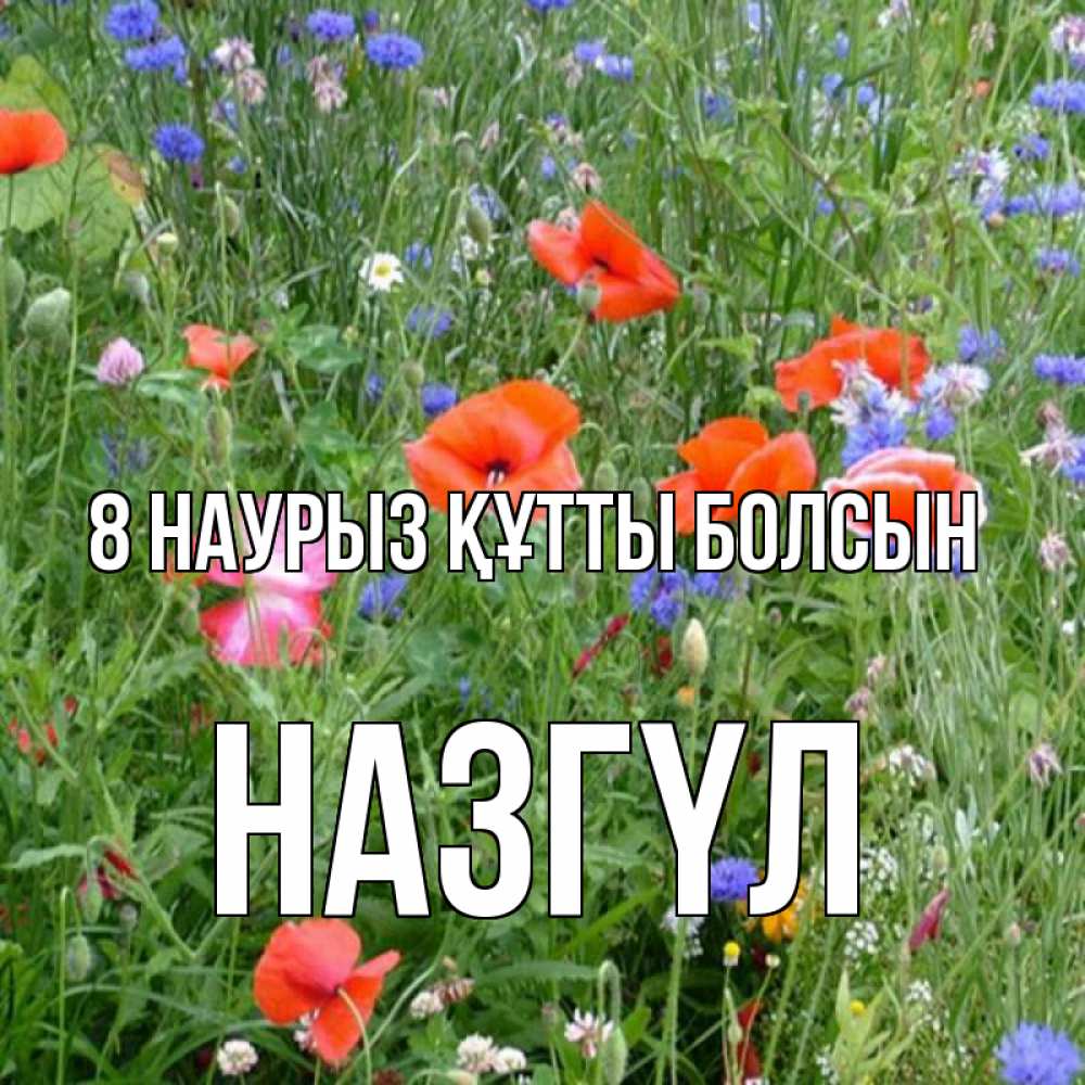 Күн сайын ашық хат с именем, НАЗГҮЛ 8 наурыз құтты болсын международный женский день 4 Онлайн тегін жүктеп алу тілектері бар керемет карта 