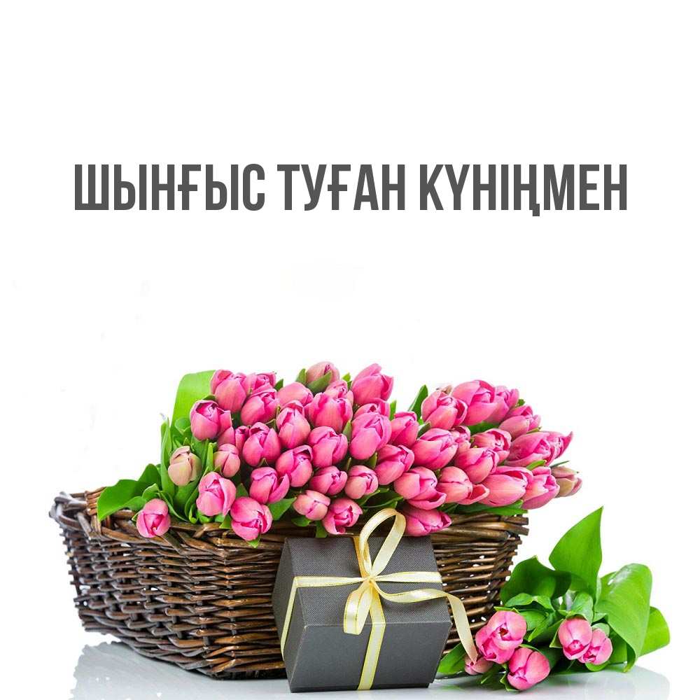 Картинка  с именем , ШЫНҒЫС! ТУҒАН КҮНІҢМЕН!