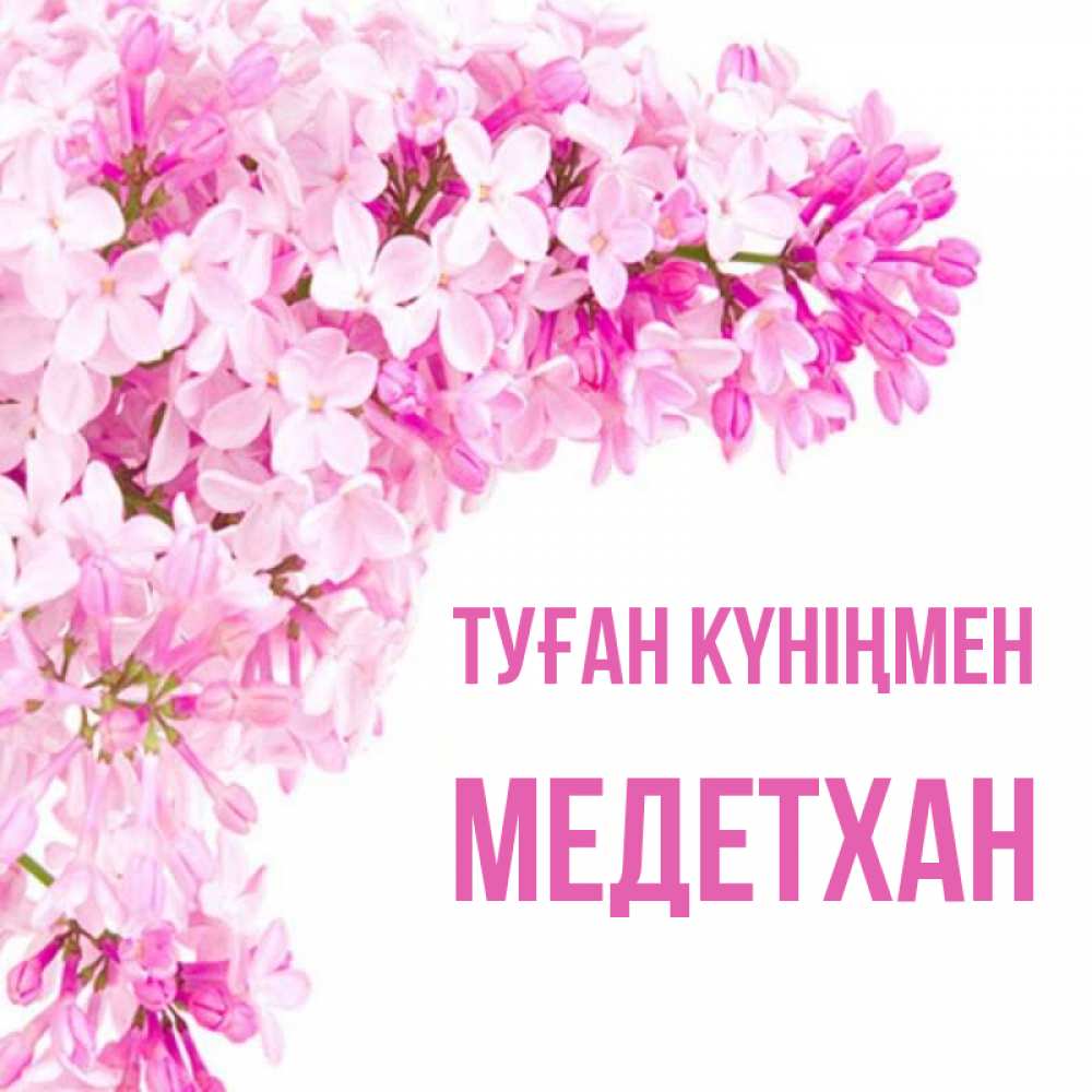 Күн сайын ашық хат с именем, МЕДЕТХАН Туған күніңмен Сирень на белом фоне Онлайн тегін жүктеп алу тілектері бар керемет карта 