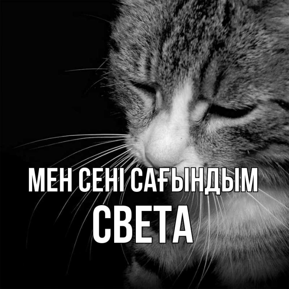 Күн сайын ашық хат с именем, Света Мен сені сағындым мне скучно Онлайн тегін жүктеп алу тілектері бар керемет карта 