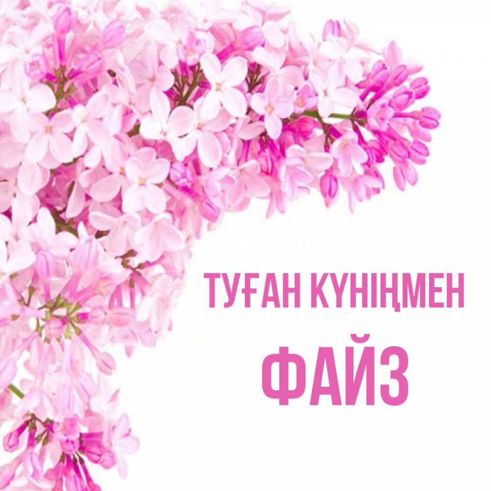 Күн сайын ашық хат с именем, ФАЙЗ Туған күніңмен Сирень на белом фоне Онлайн тегін жүктеп алу тілектері бар керемет карта 